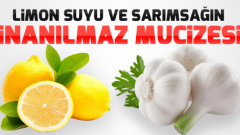 Dr. Ender Saraç’tan Limon ve Sarımsak Kürü Önerisi