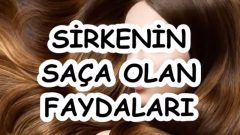 Sirkenin Saça Faydası ve Kullanımı