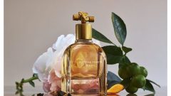 Bottega Veneta Parfüm Kadın