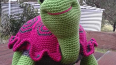 Amigurumi Kaplumbağa Tarifi