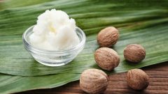 Shea Yağı Nedir Faydaları Nelerdir?