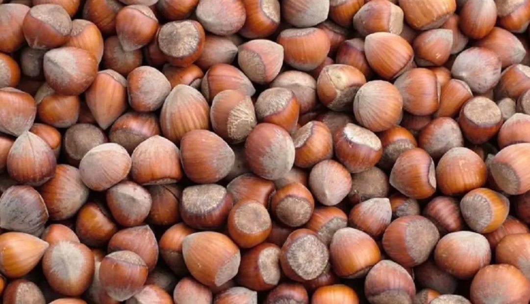 Kedilere Zararlı Yemekler Nelerdir?