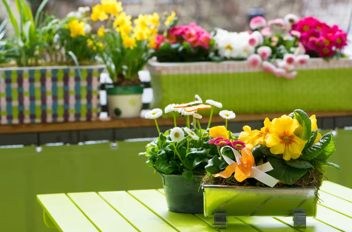 Balkon Saksı Çiçekleri