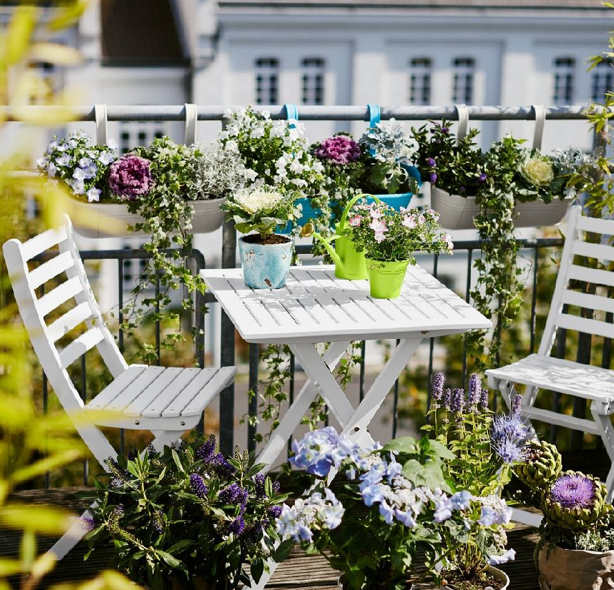 Balkon Saksı Çiçekleri