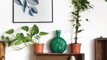 Bitkilerle Yaratıcı Ev Dekorasyonu Önerileri