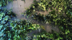 Yapay Çiçekler, Yapay Ağaçlar ve Dikey Bahçeler: Modern Dekorasyonun Doğal Alternatifleri